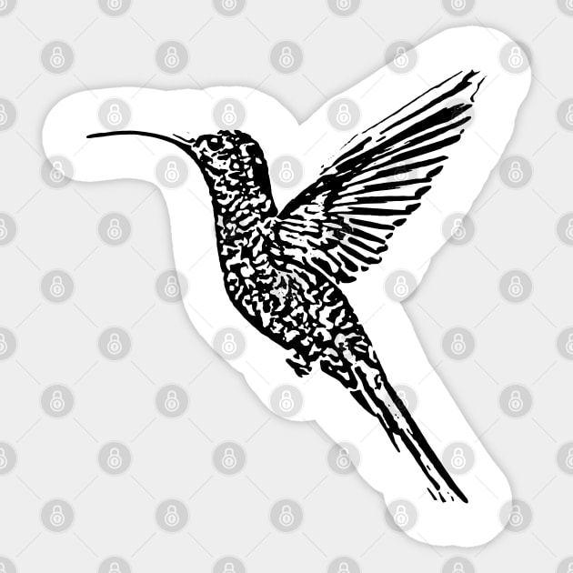 Hummingbird Sticker by Alekxemko